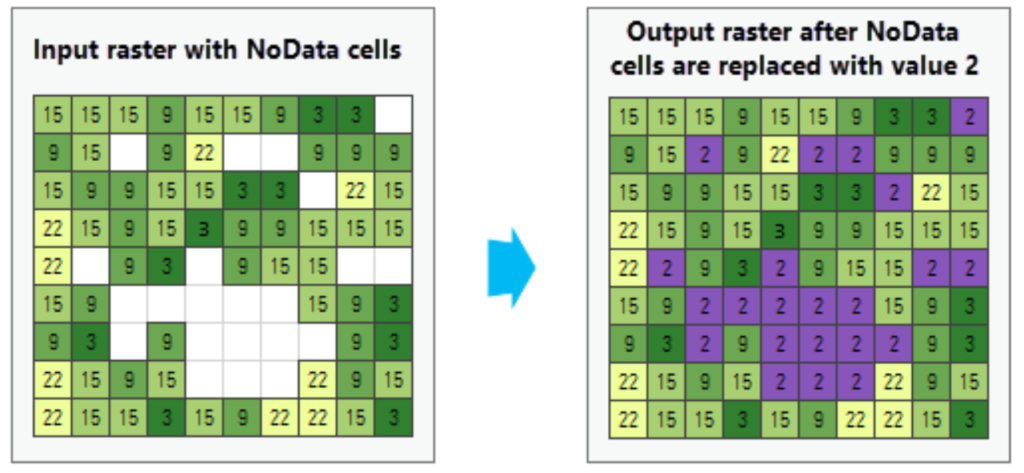 An example of replacing NoData cells with a constant value of 2