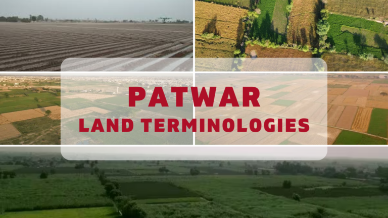 Land Terminologies – پٹوار